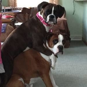 Meet your Posher, Richard